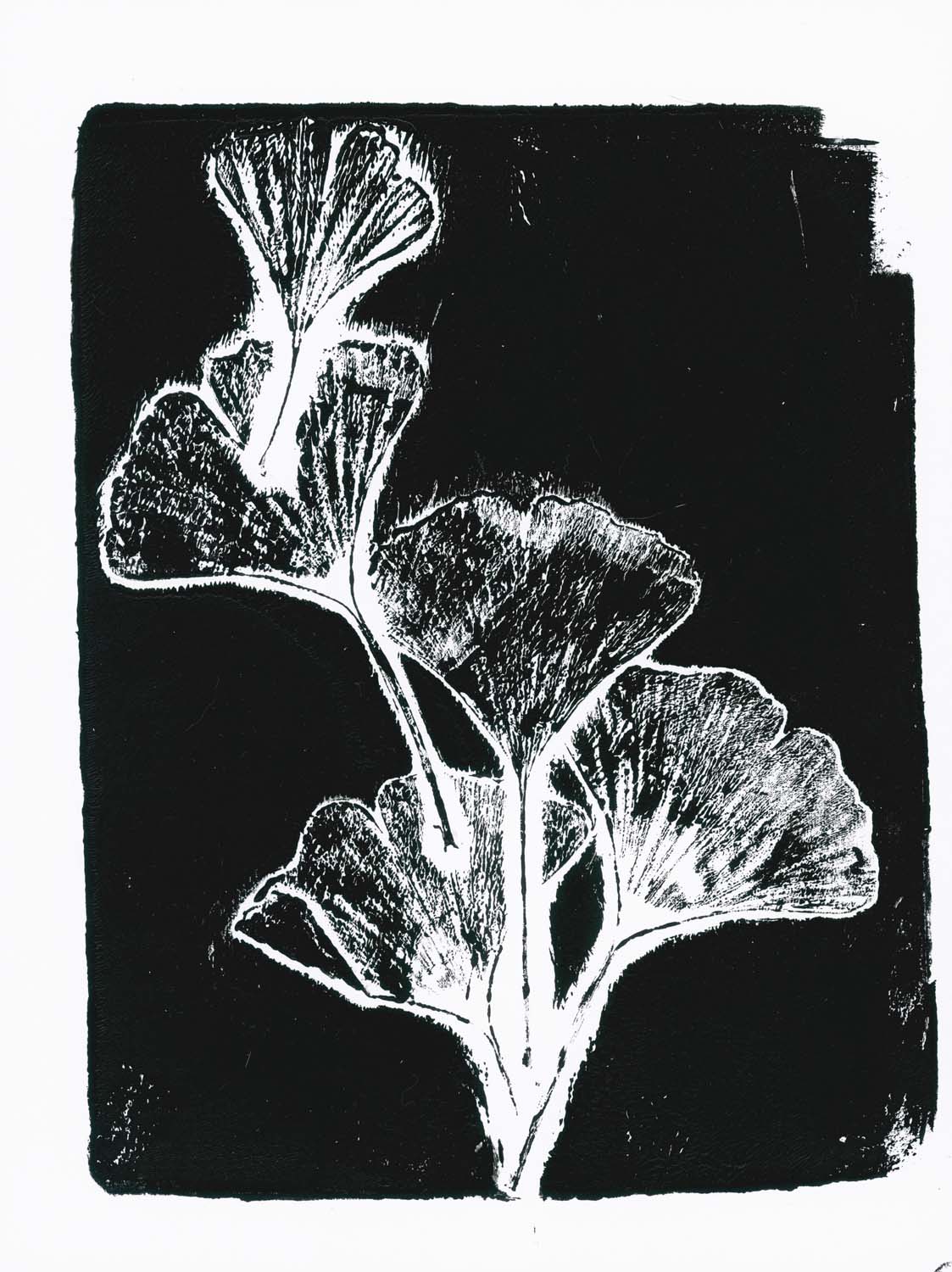Leaves VIII