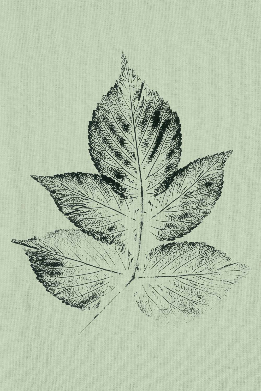 UFRO-314_ALT_V31