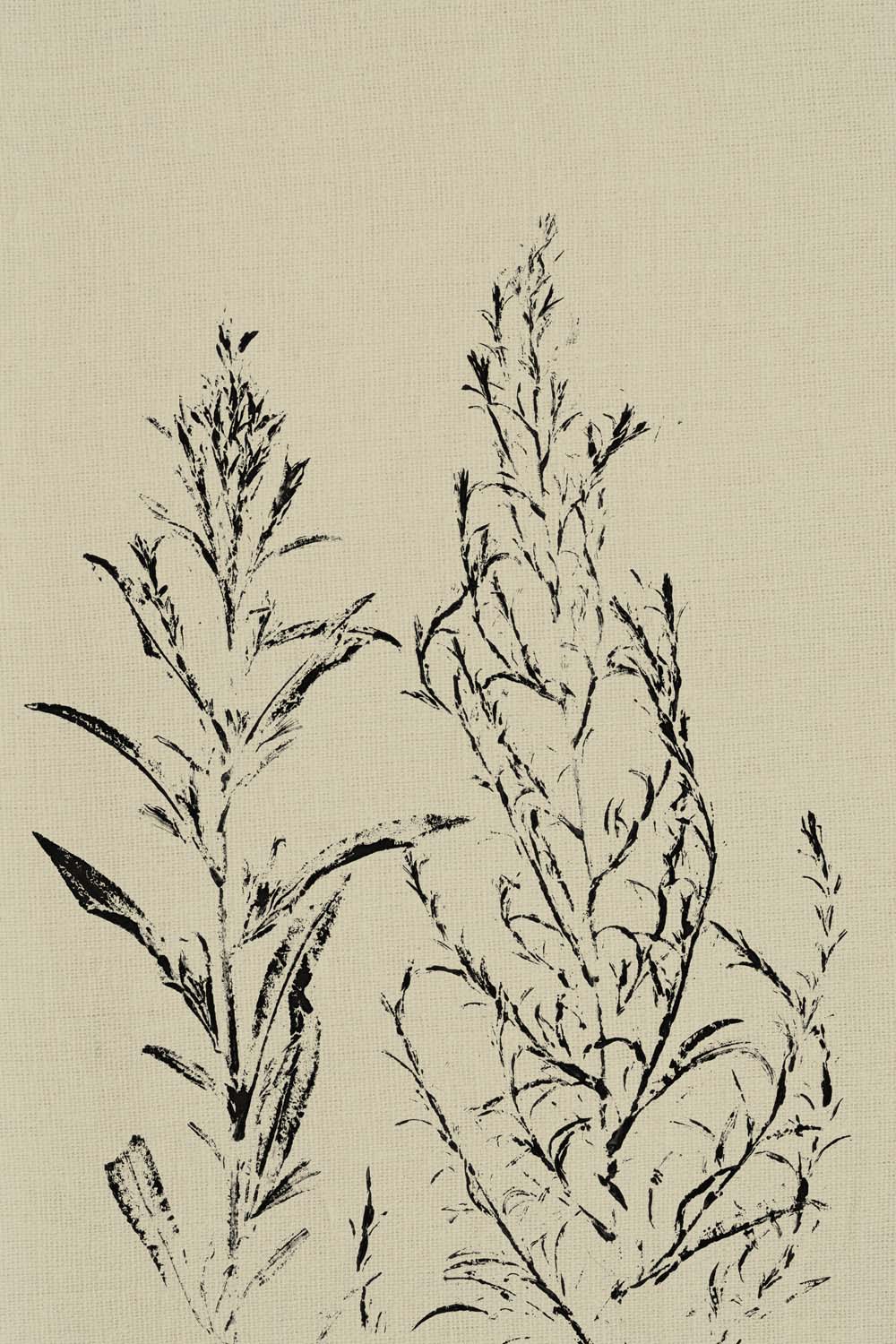 UFRO-317_ALT_V31