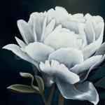 floral art, flowers, peony, peonies