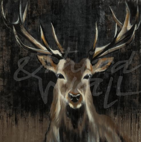 lodge, antlers deer, stag, buck, animal, liz jardine