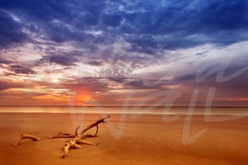 photography seascape ocean sea beach coastal