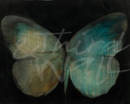 insect butterfly transitional seattle art