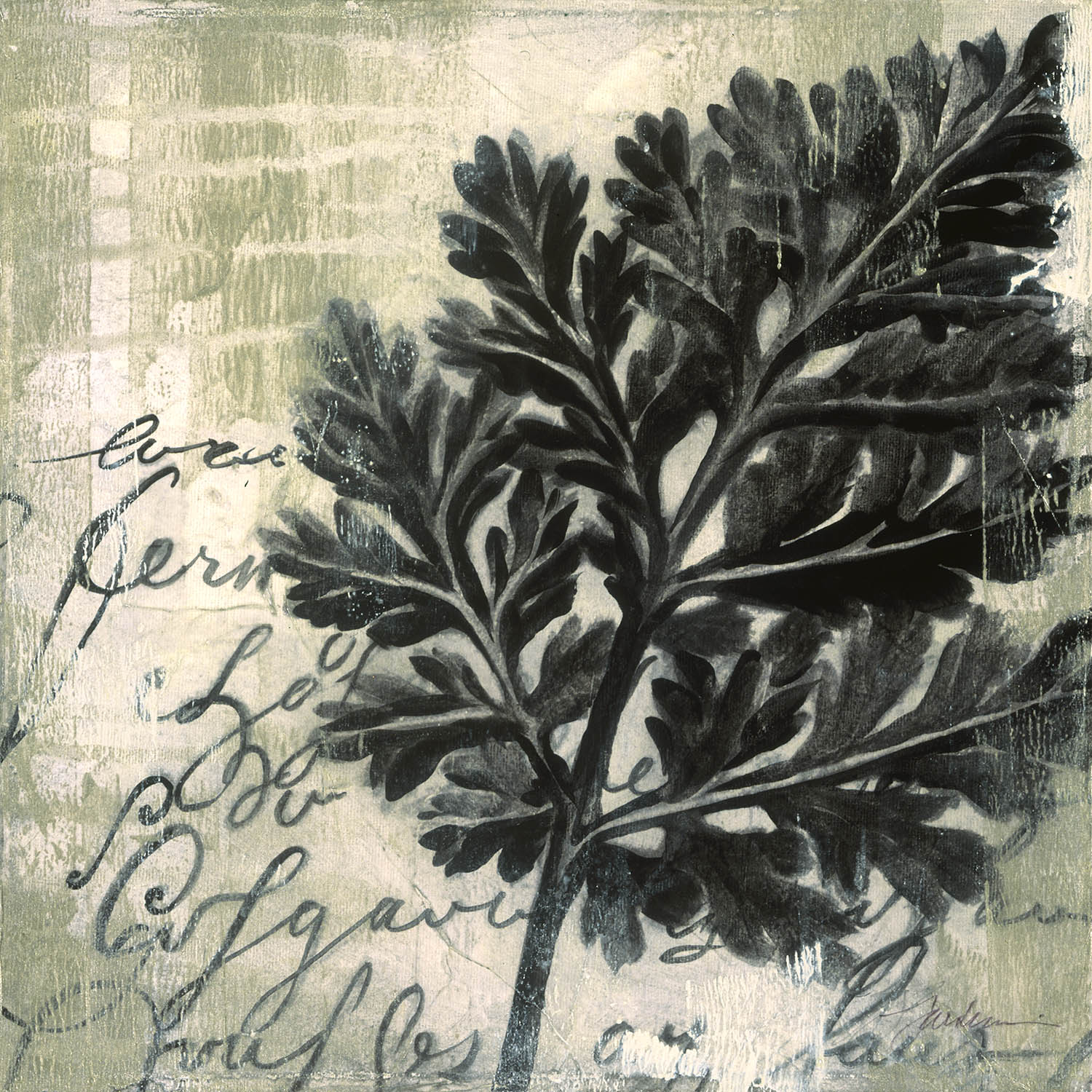 Botanica V