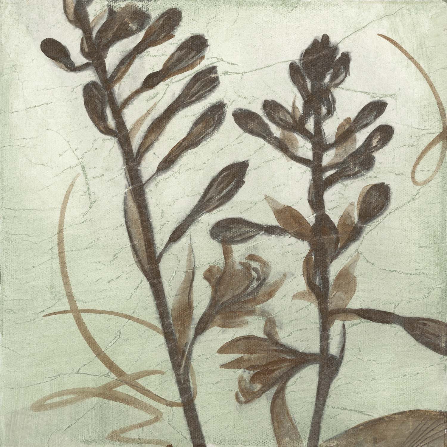 Verde Botanicals VII