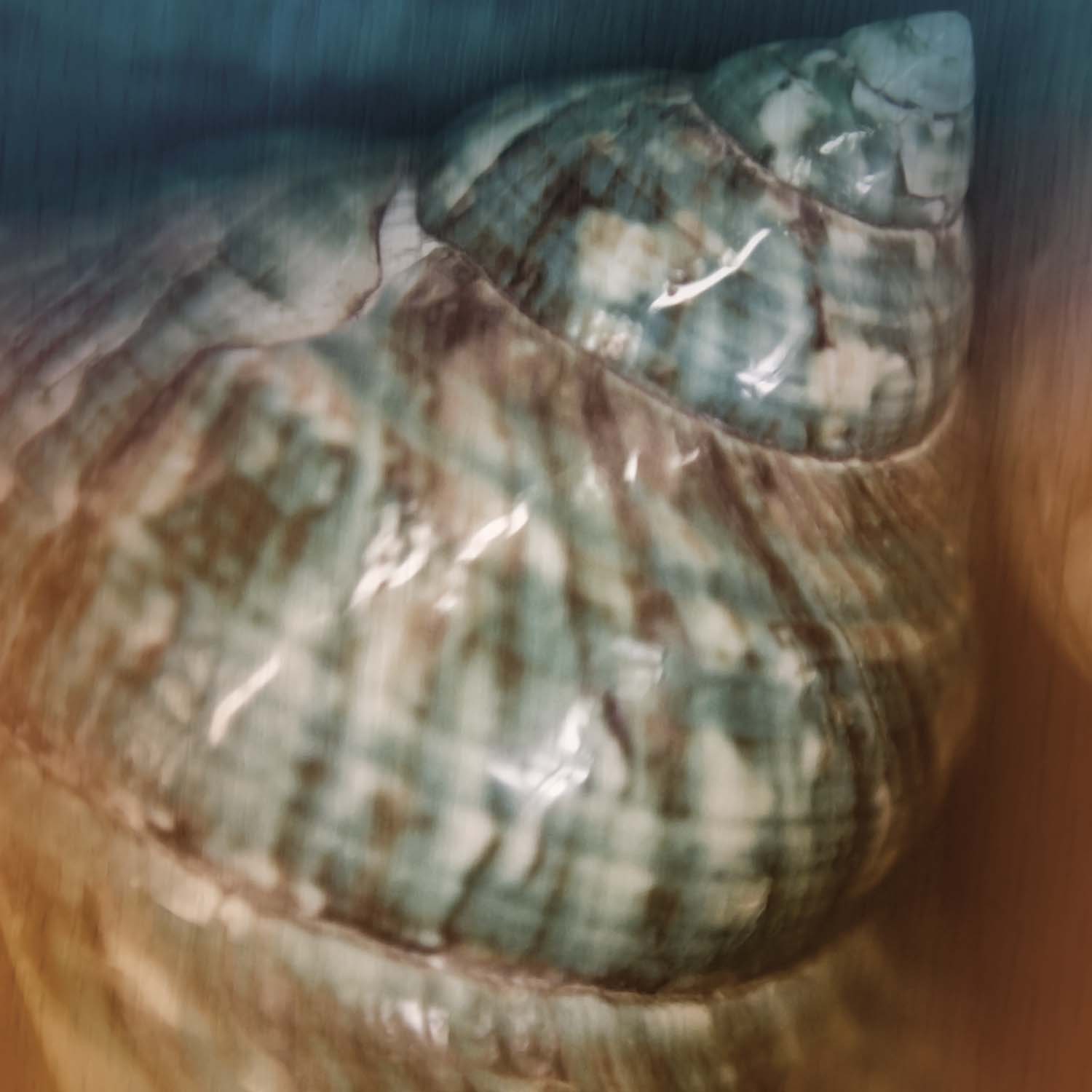 Ocean Treasures II