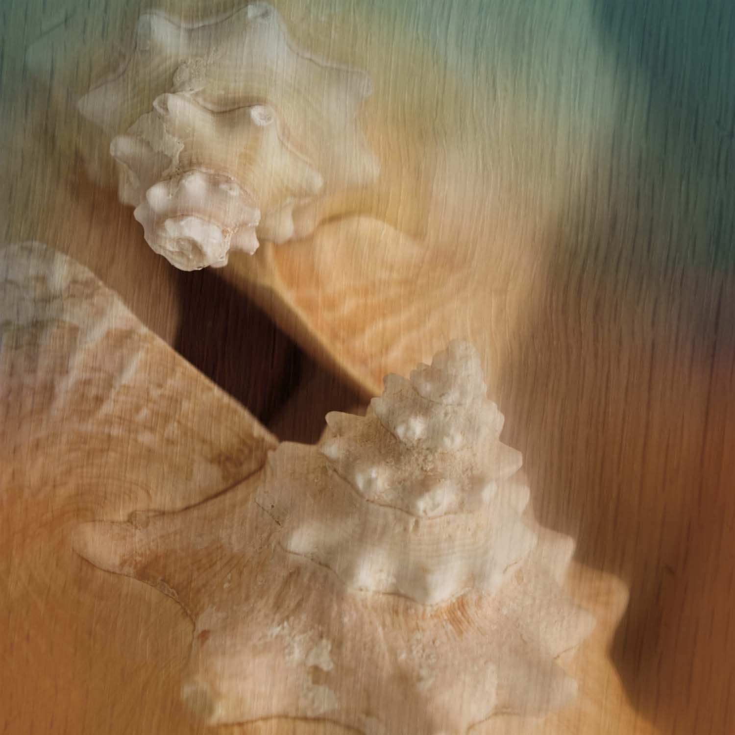 Ocean Treasures III