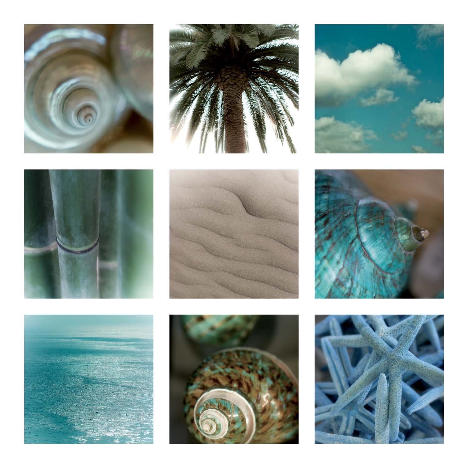 Ocean Bliss Ocean Bliss