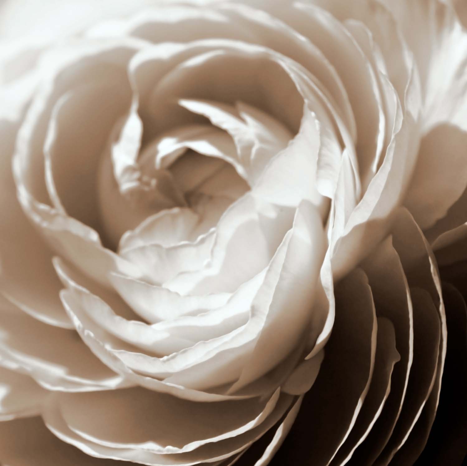 Soft Edges