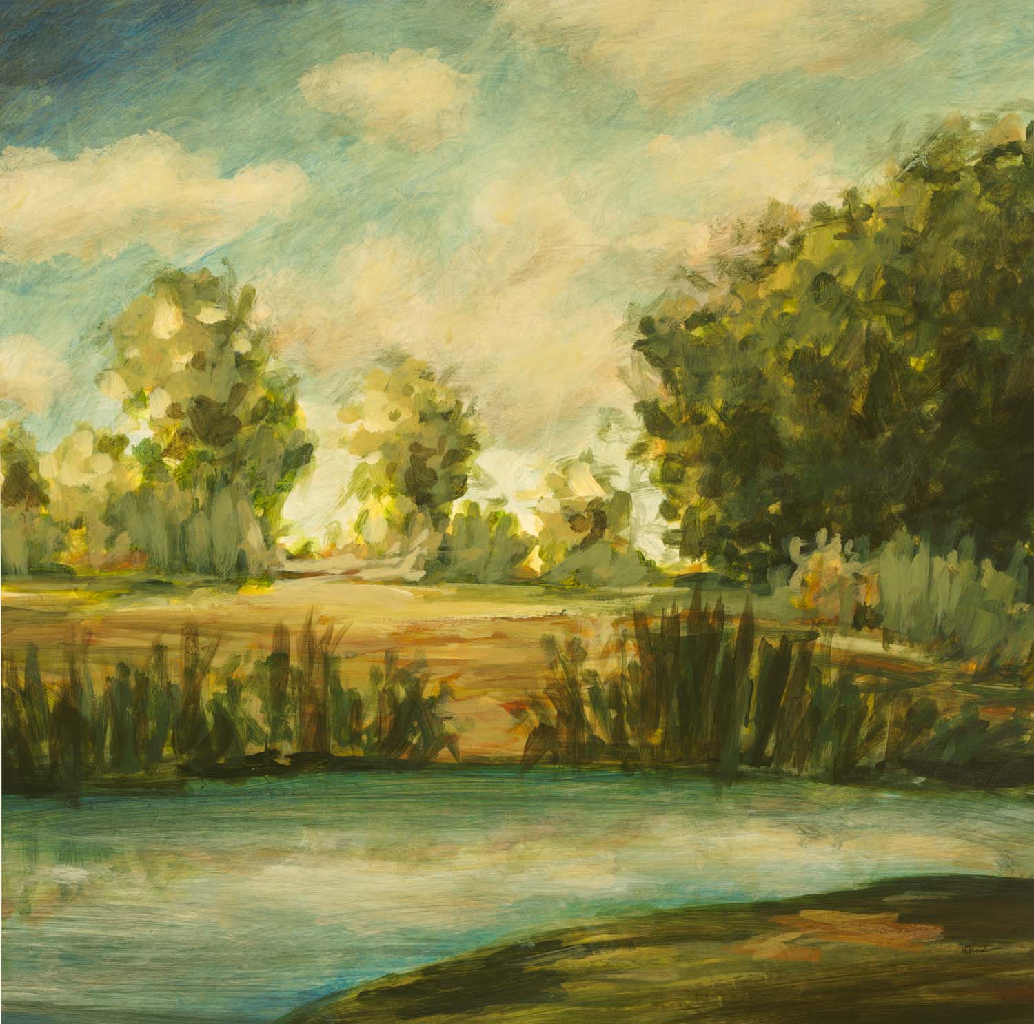 Envision II Envision II