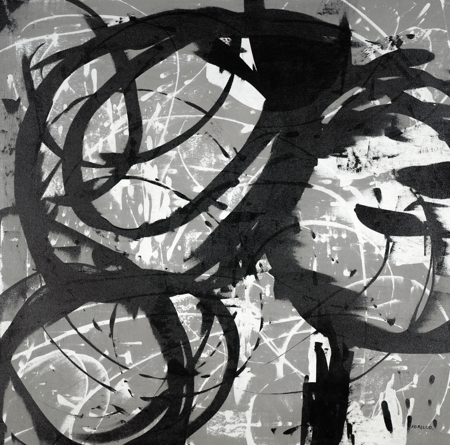 Gray Circling