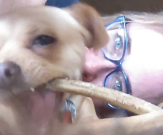 pippapatti