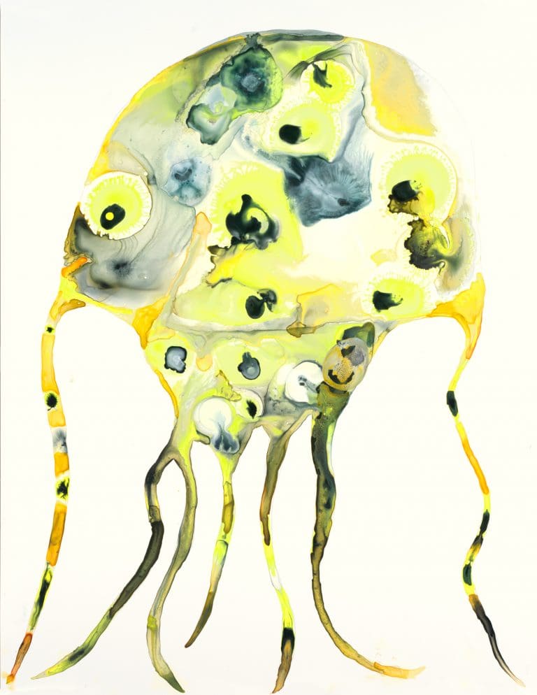 Yellow Jelly Yellow Jelly