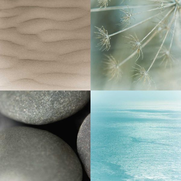 Ocean Dream Ocean Dream