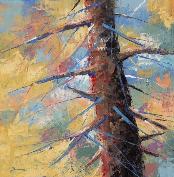 Colorful Conifer Colorful Conifer