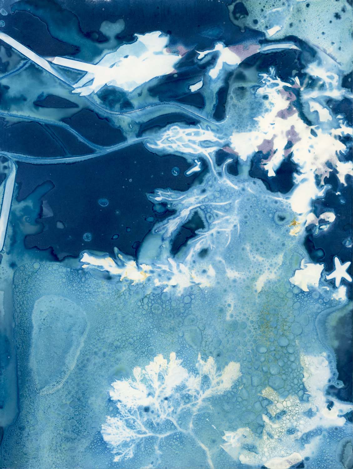 Intertidal V