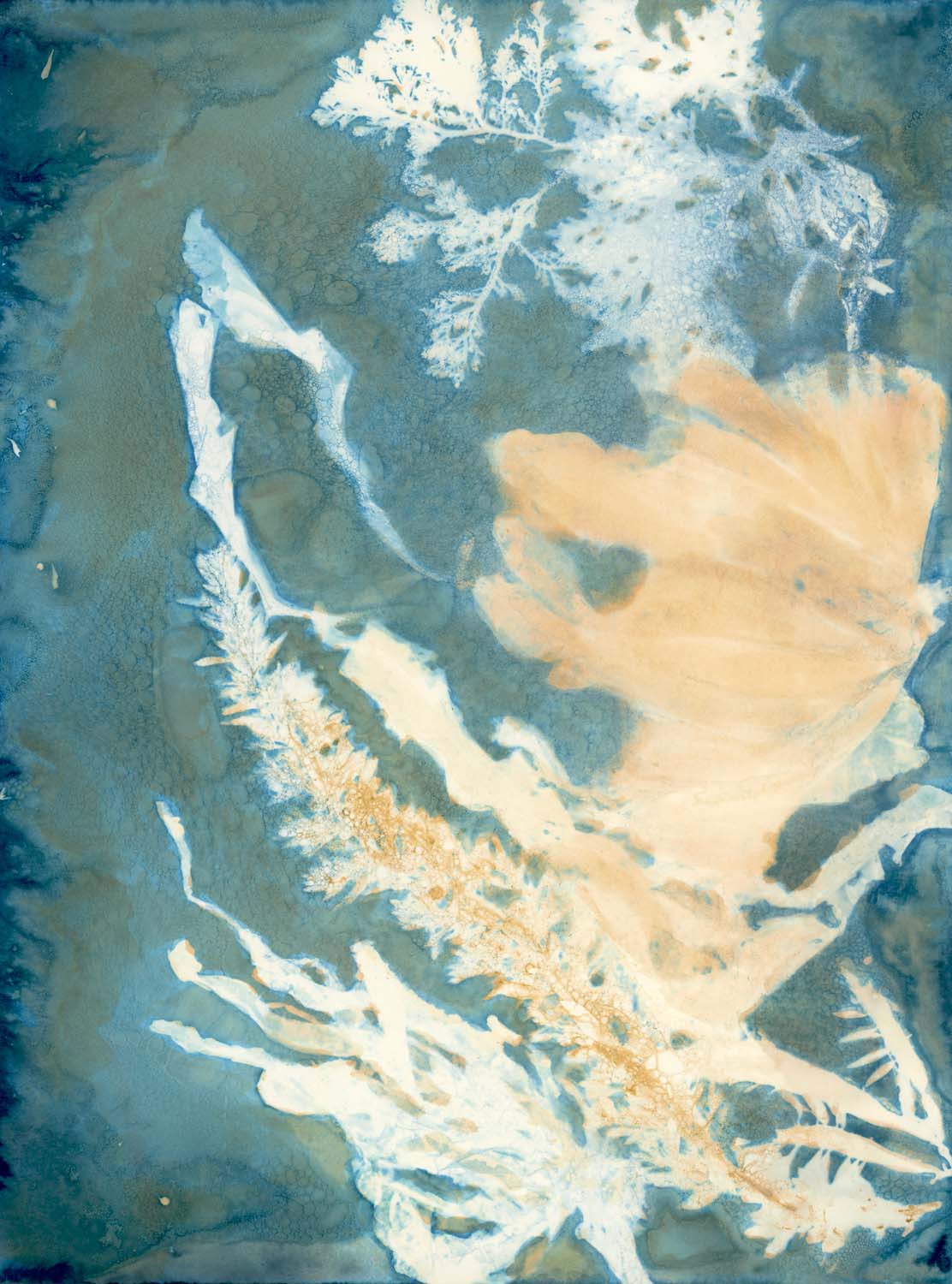 Intertidal VI