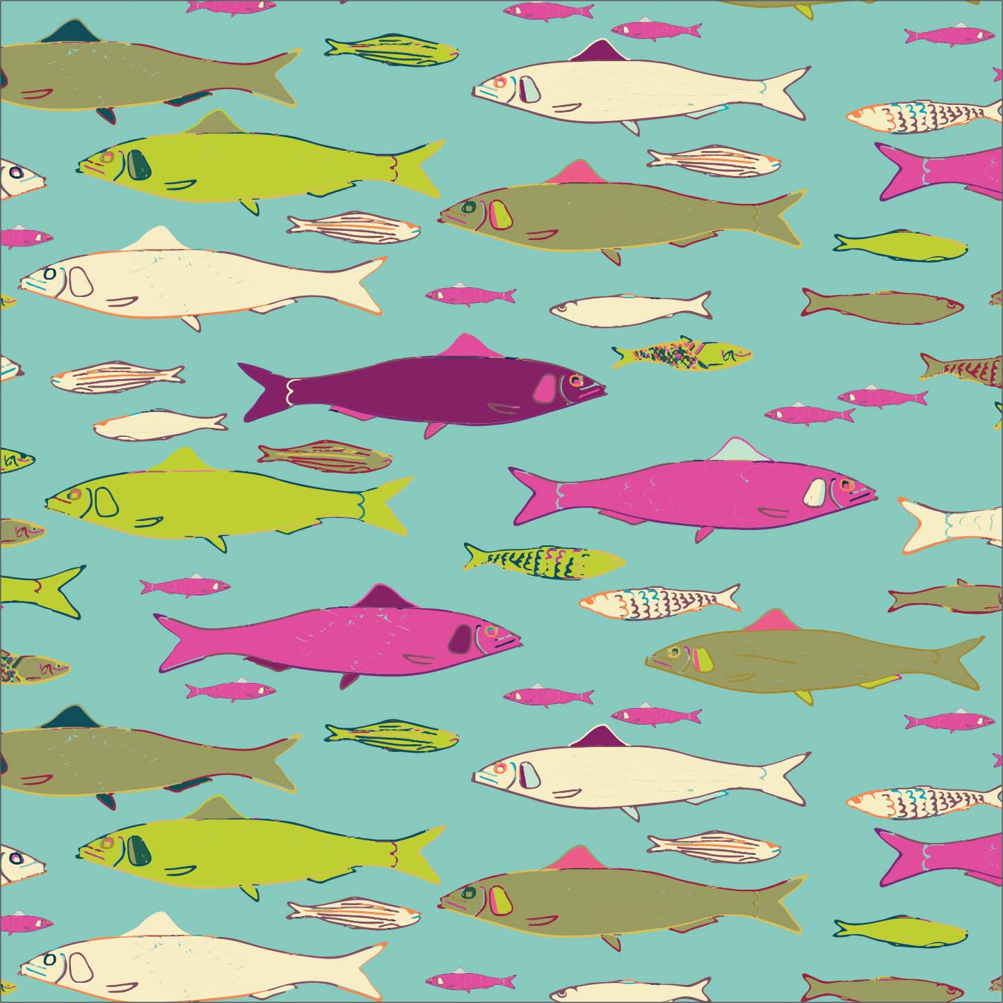 Sardines P33 Sardines P33